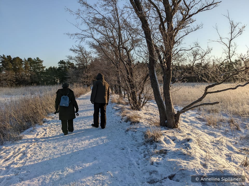 An elderly woman and a man walking peacefully on a snowy path by the sea on a clear winter day