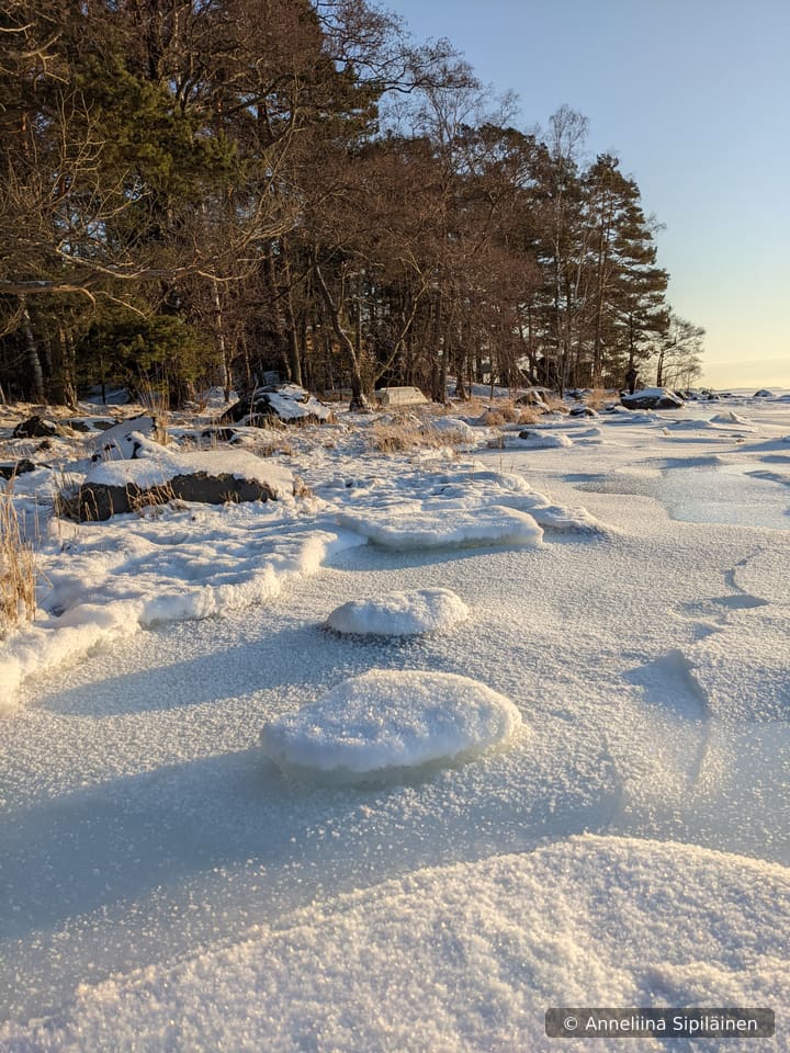 Wind blown ice formations on the sea shore glimmering in the afternoon sun