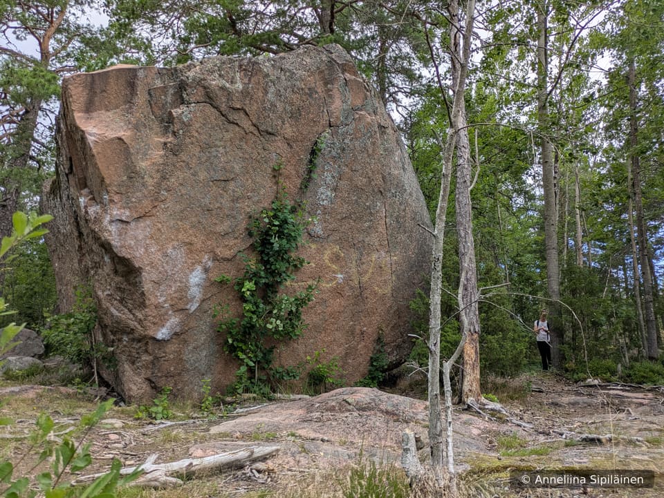 A lady standing next to an huge erratic rock transported to its current location by the Ice Age